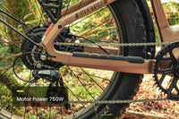 Aventon Aventure 3 Step Through Electric Bike Feature Motor