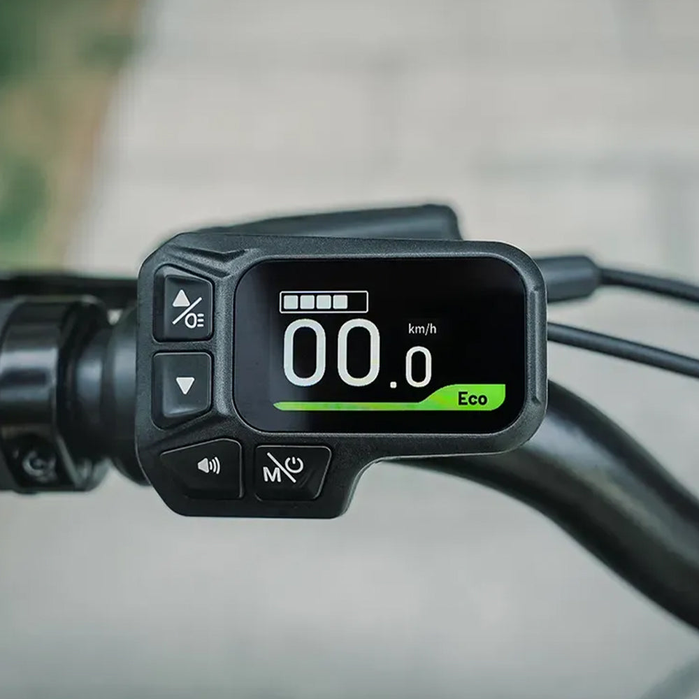 fiido d11 2025 folding electric bike feature display