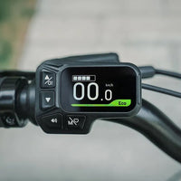 fiido d11 2025 folding electric bike feature display
