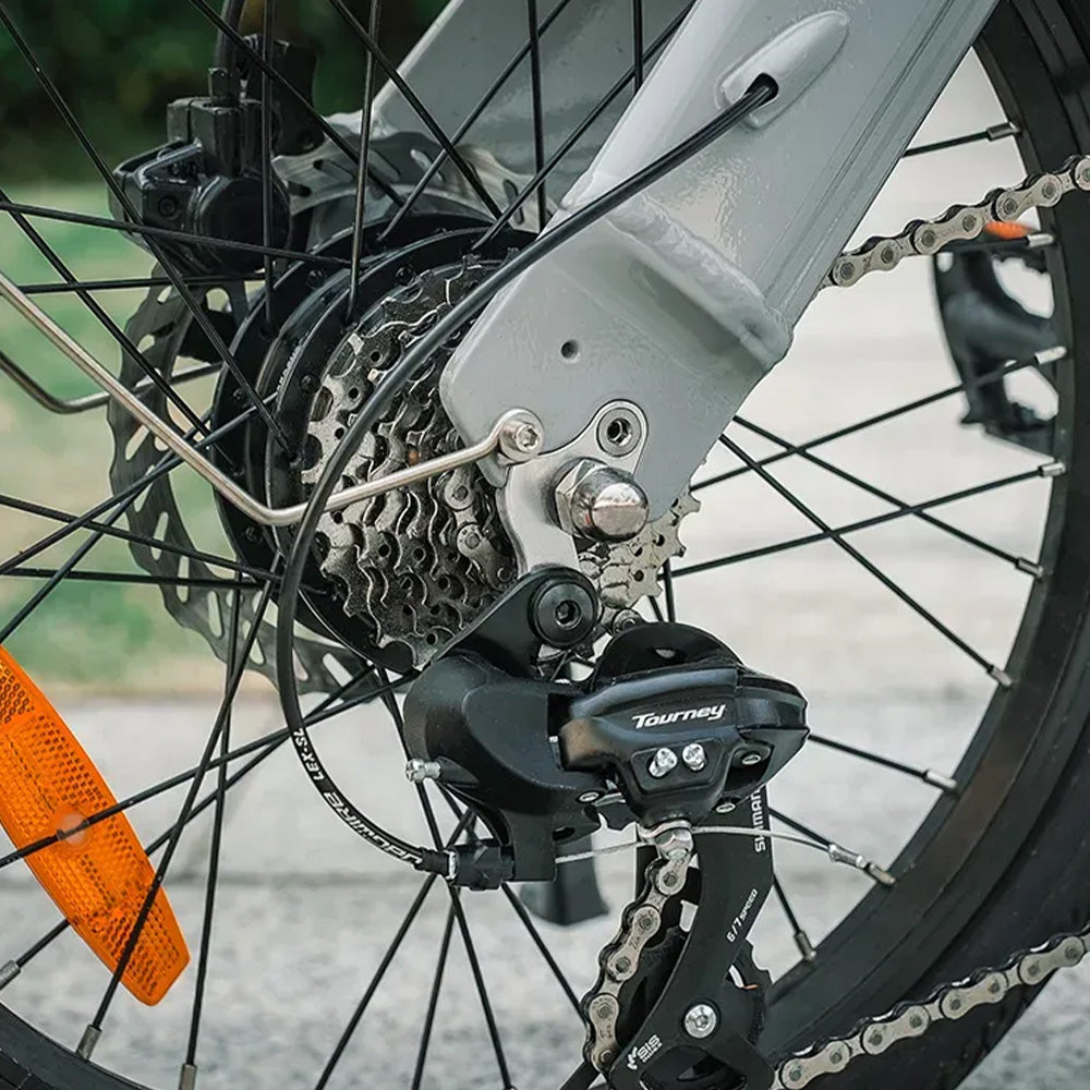 fiido d11 2025 folding electric bike feature gear system
