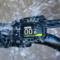 fiido d11 2025 folding electric bike feature water resistance