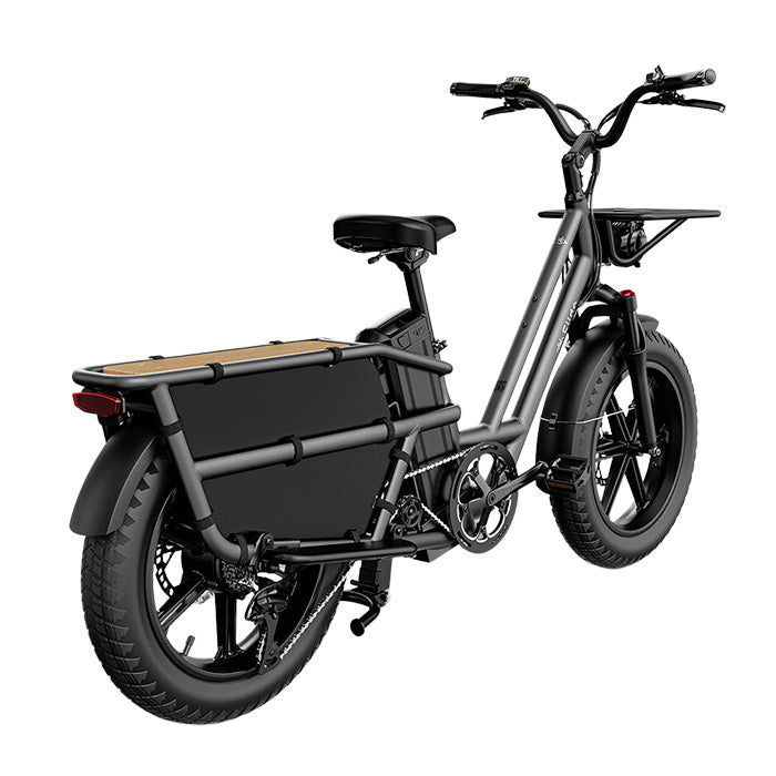 fiido t2 longtail cargo ebike grey side back