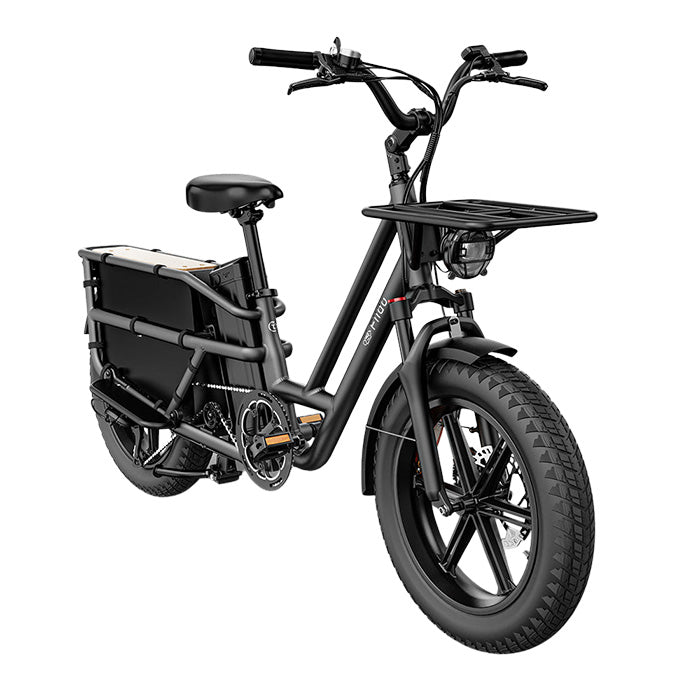 fiido t2 longtail cargo ebike grey side front