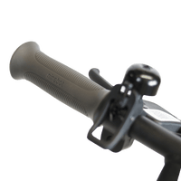 segway ninebot zing c20 e scooter