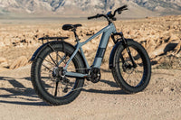 Aventon Aventure M Electric Bike Lifestyle Static Rear