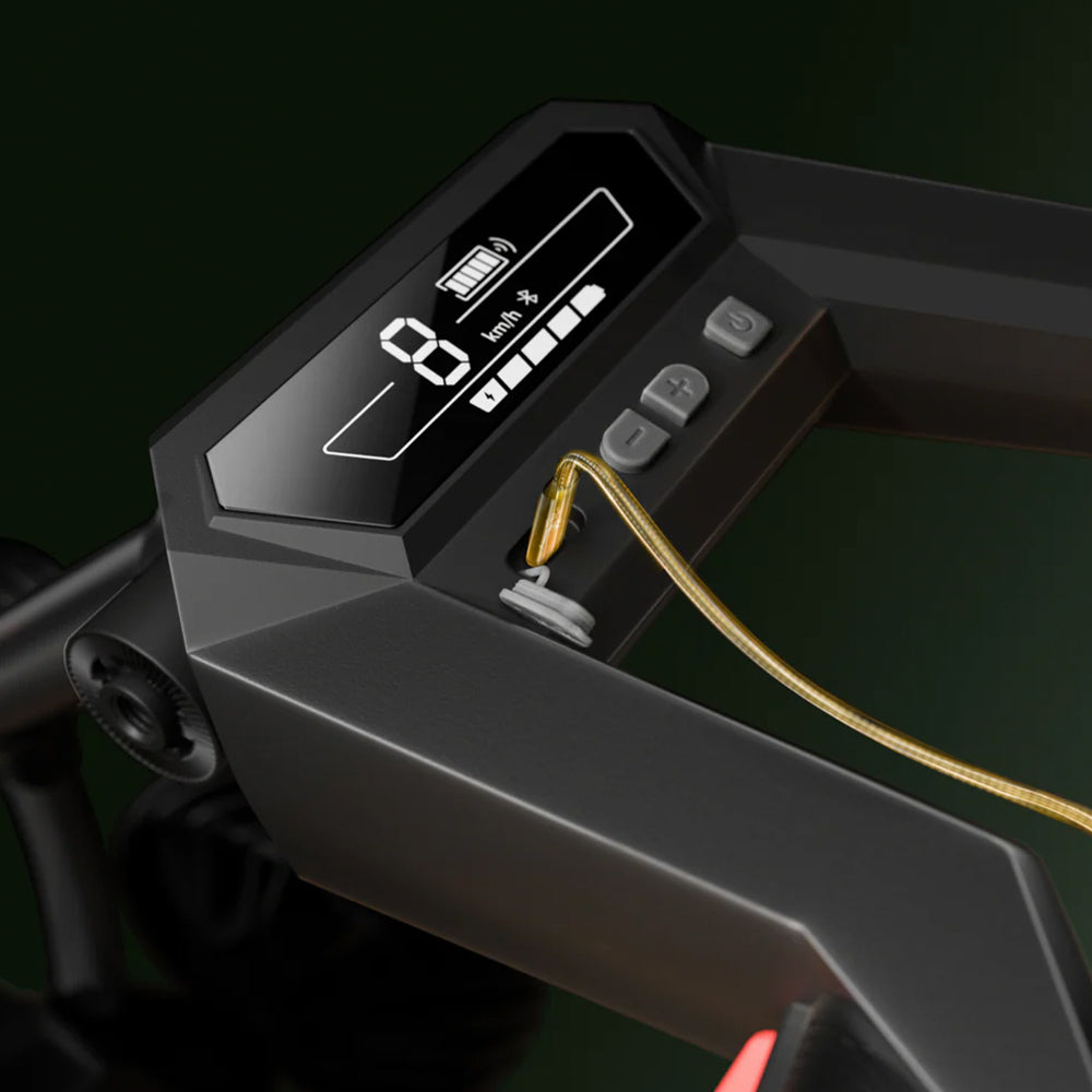 NAVEE Birdie Electric Golf Buggy Feature Display