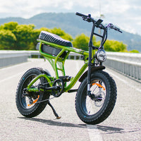 Ampd Brothers Ace-X Pro Dual Suspension Electric Bike Electric Kicks