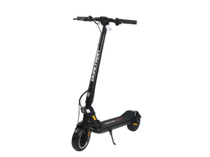 Dualtron Dolphin (36V)