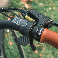 fiido c11 pro electric bike feature throttle