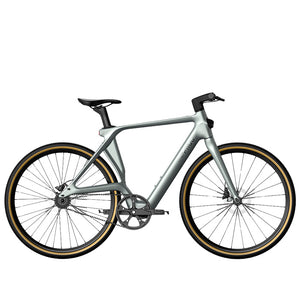 Fiido Air Carbon Fiber Bike (Fiido C31)-10