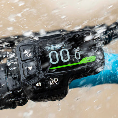 fiido m1 pro electric bike feature display