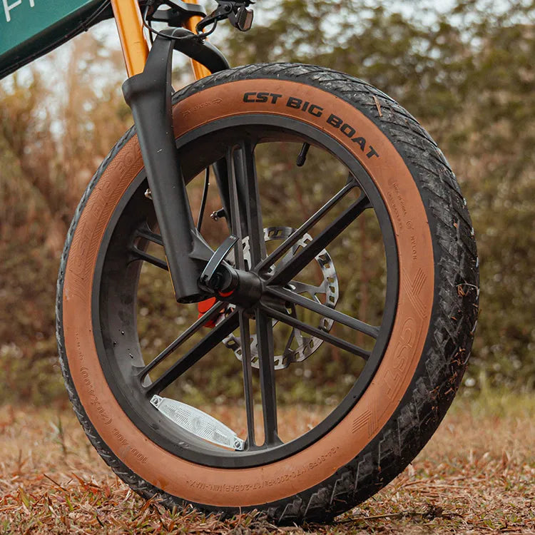 fiido m1 pro electric bike feature fat tyre