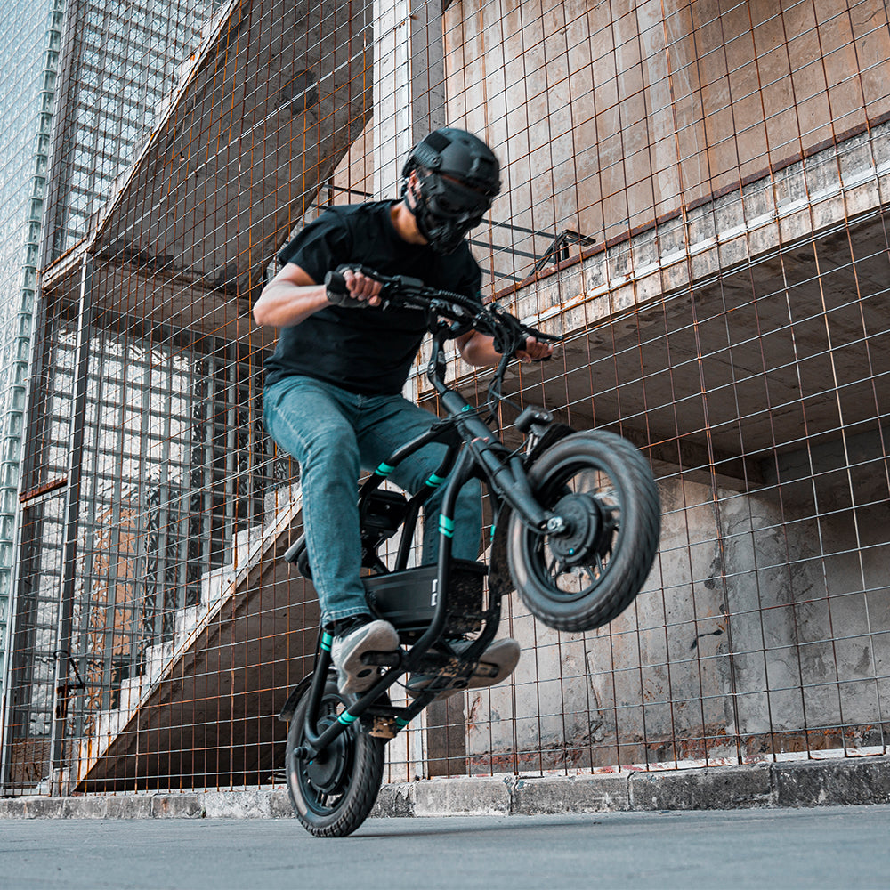 Fiido Q2 Electric Scooter Up
