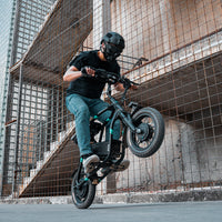 Fiido Q2 Electric Scooter Up