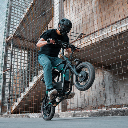 Fiido Q2 Electric Scooter Up