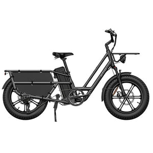 Fiido T2 (2025) Longtail Cargo eBike-6