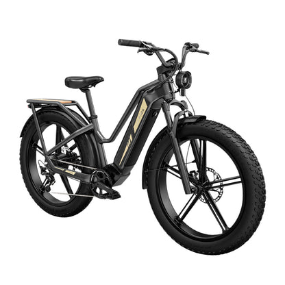 Fiido Titan Electric Cargo Bike Fat Tyre Cargo Bike – Electric Kicks