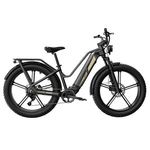 Fiido Titan Electric Cargo Bike-9