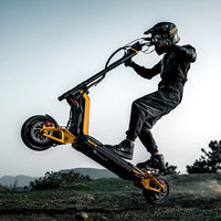 inmotion rs electric scooter lifestyle wheely