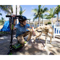 razor power core e90 green lifestyle dog