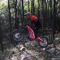 surron light bee s youth bike wheelie