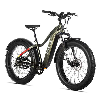 Aventon Aventure ebike fat tyres