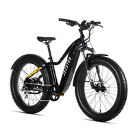 Aventon Aventure Step Over e bike