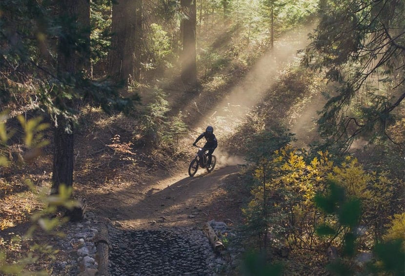 lifestyle-segway x160 dirtbike forest